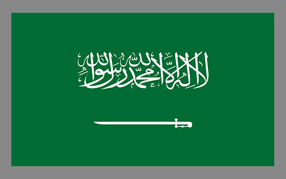 
                                    السعودية                                