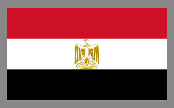 
                                    مصر                                
