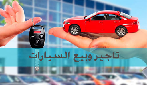 
                                    تاجير وبيع السيارات                                
