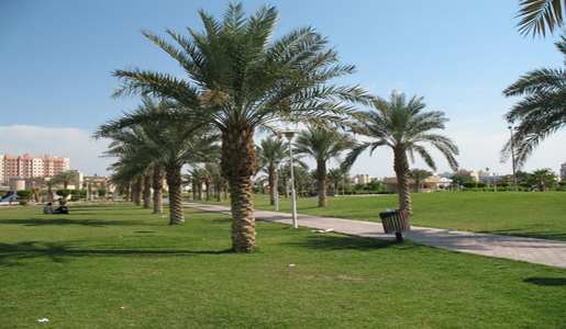 
                                    الجابرية                                